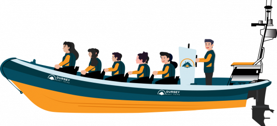Dursey Boat Trips cartoon boat
